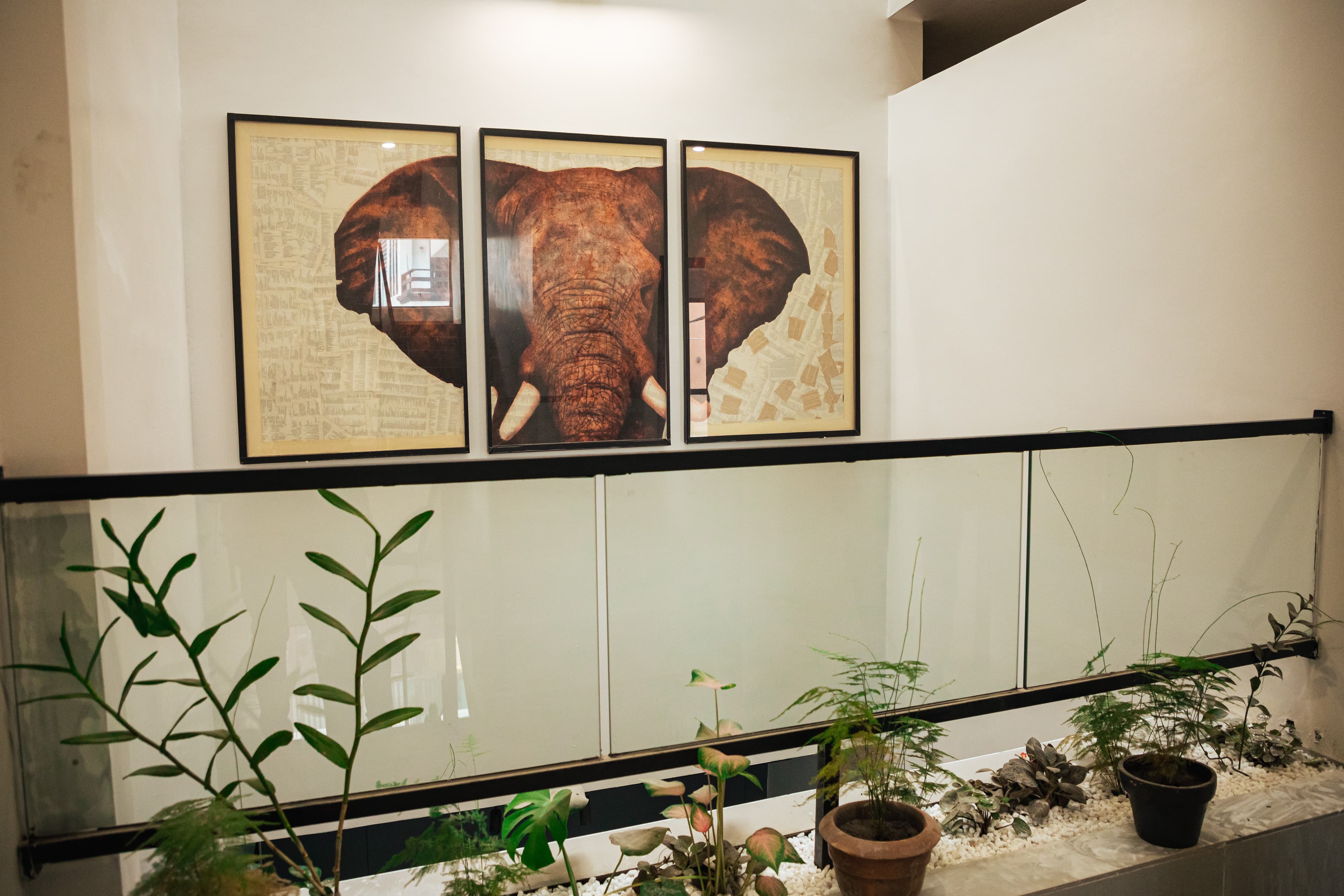 Villa Délice Atmosphere 1